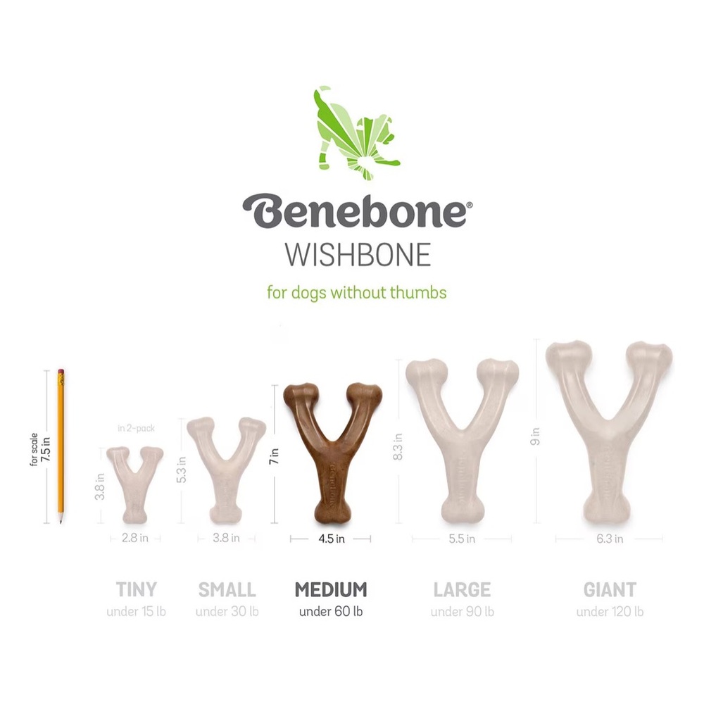 NWT Benebone Bacon Flavor Wishbone Dog Toy Size Medium (under 60 pounds) - Picture 7 of 8